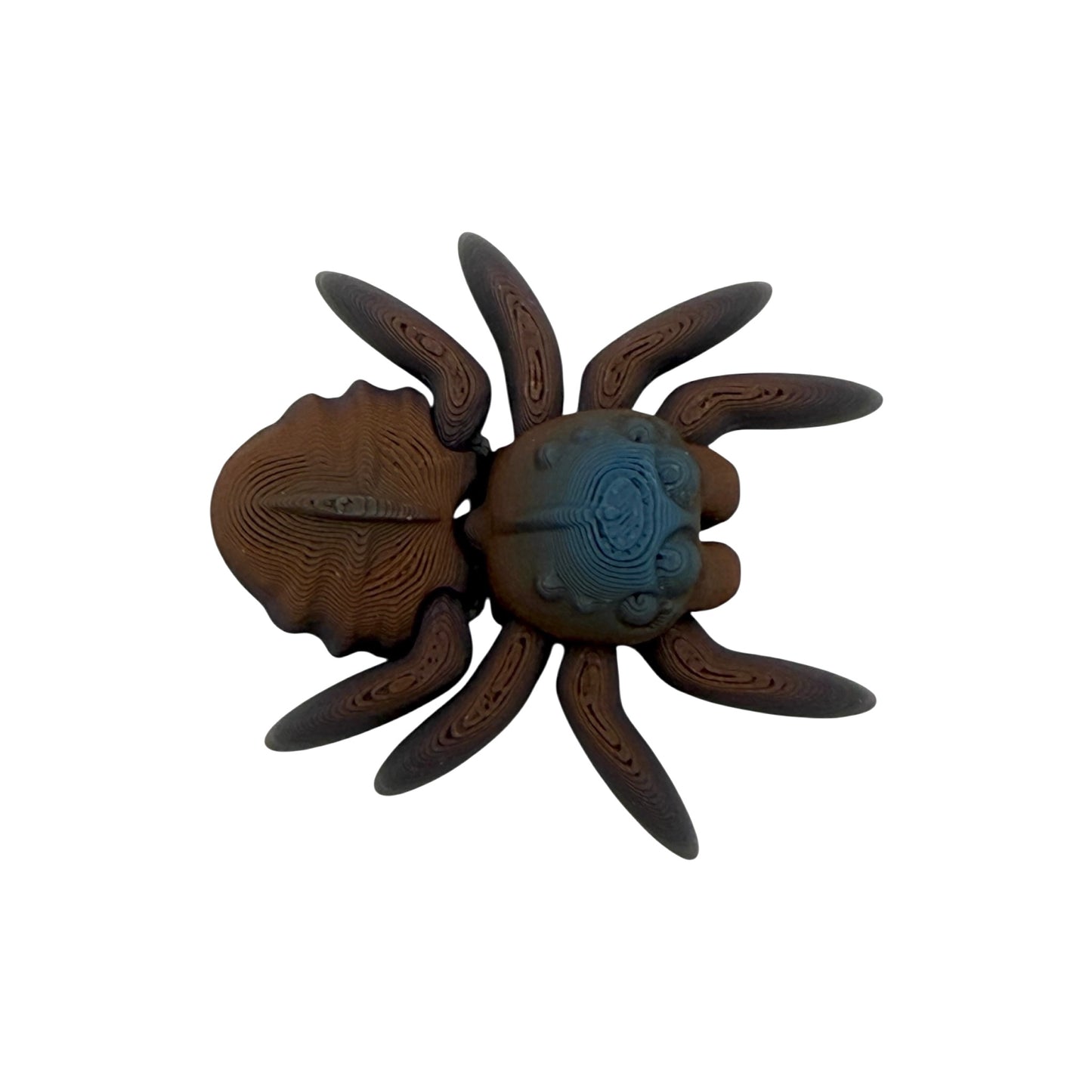 3D Printed Spider