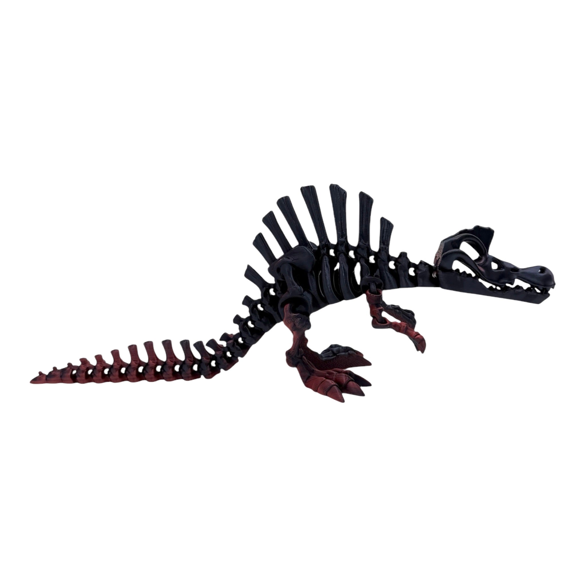 3D Printed Spinosaurus