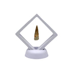 Fossilized Dinosaur Tooth (Spinosaurus, 2-3")