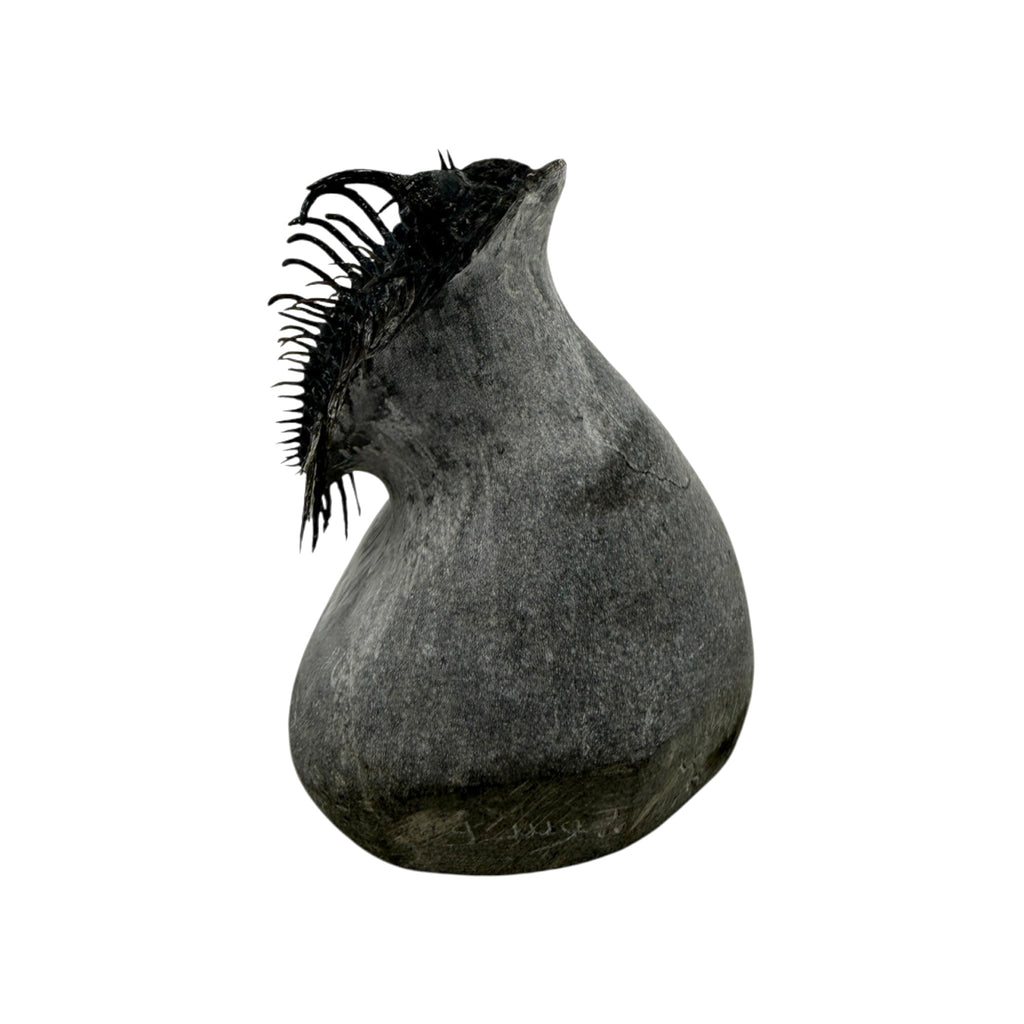 Spiny Comura Trilobite