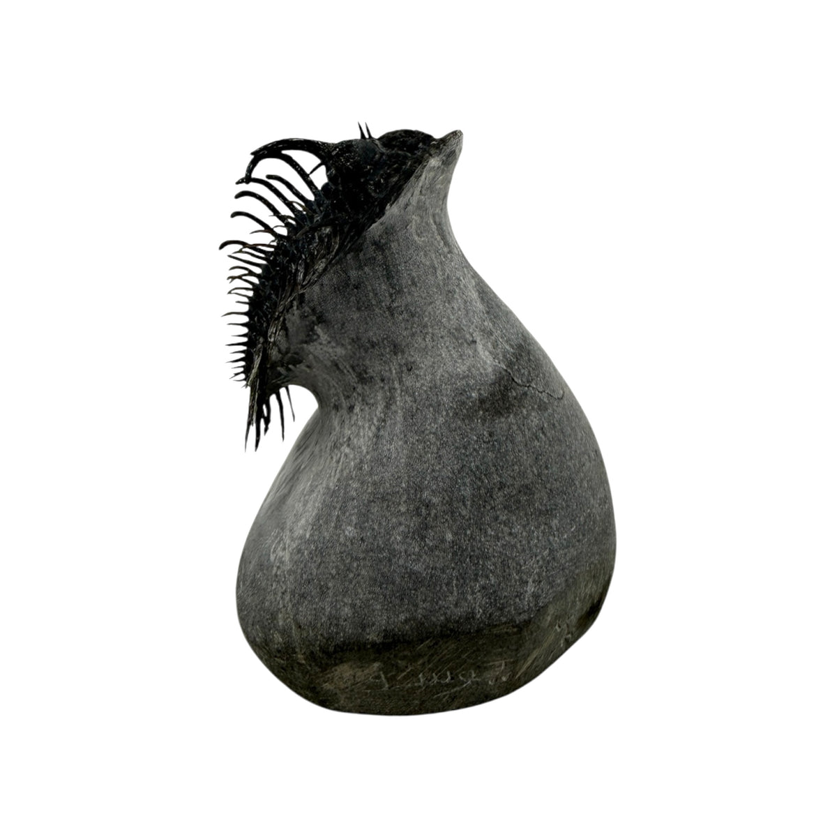 Spiny Comura Trilobite
