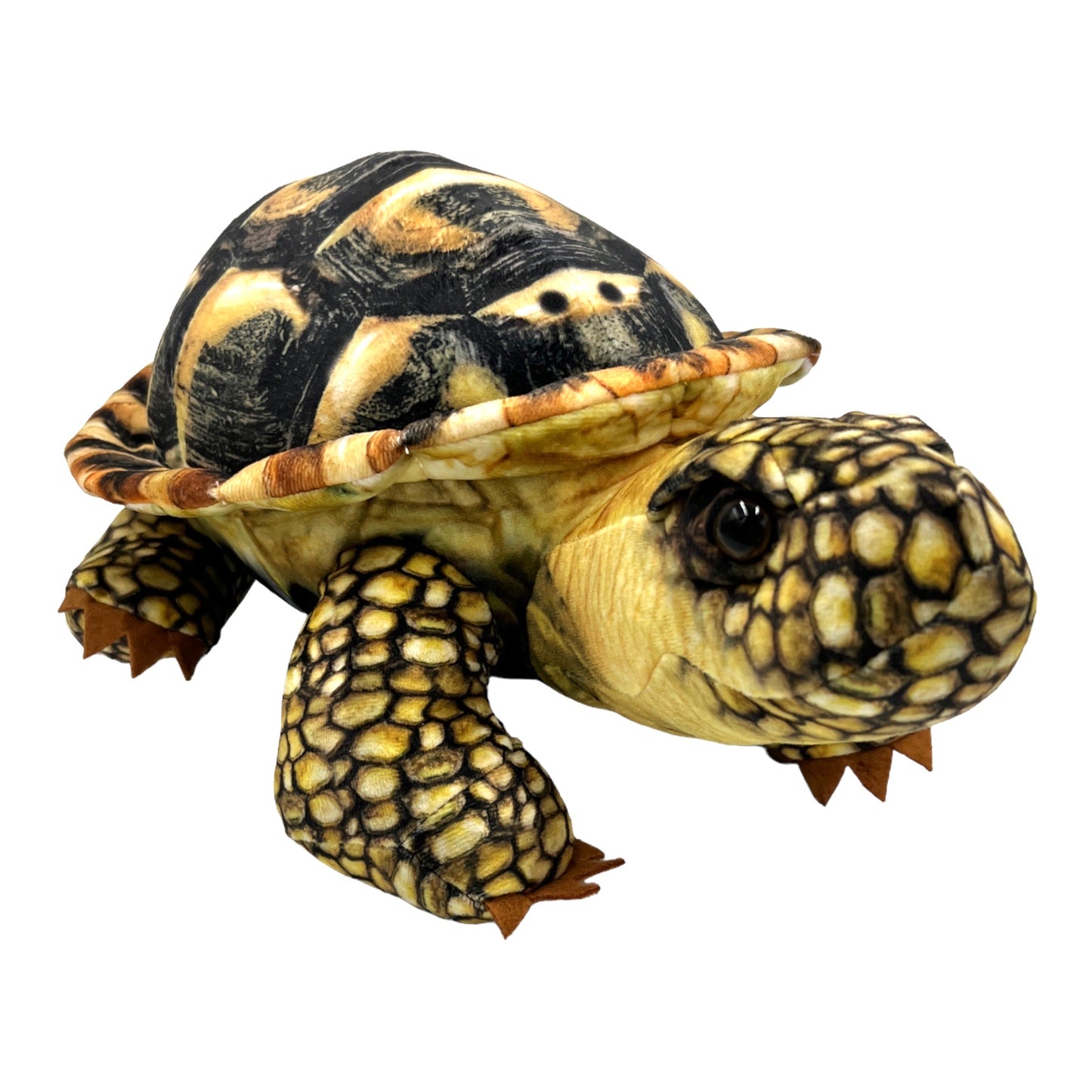 Spurred Tortoise Plush