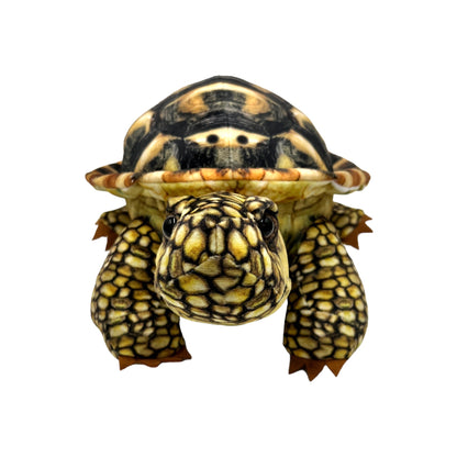 Spurred Tortoise Plush