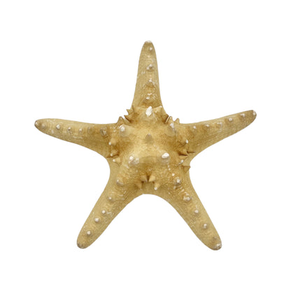 Starfish