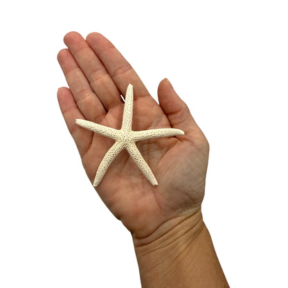 Finger Starfish