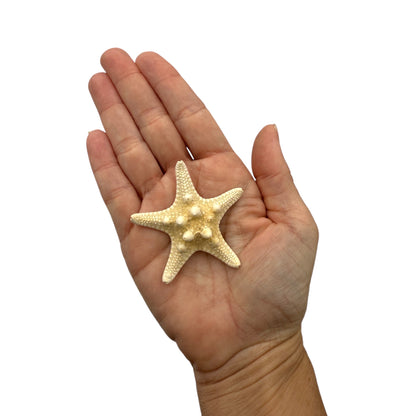 Knobby Starfish