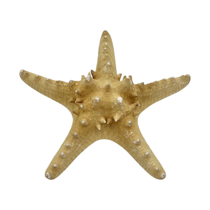 Starfish