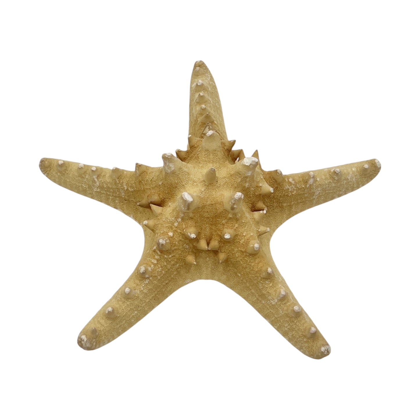 Starfish