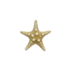 Knobby Starfish