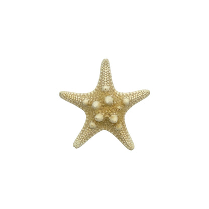 Knobby Starfish