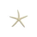 Finger Starfish