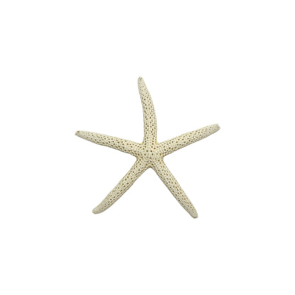 Finger Starfish