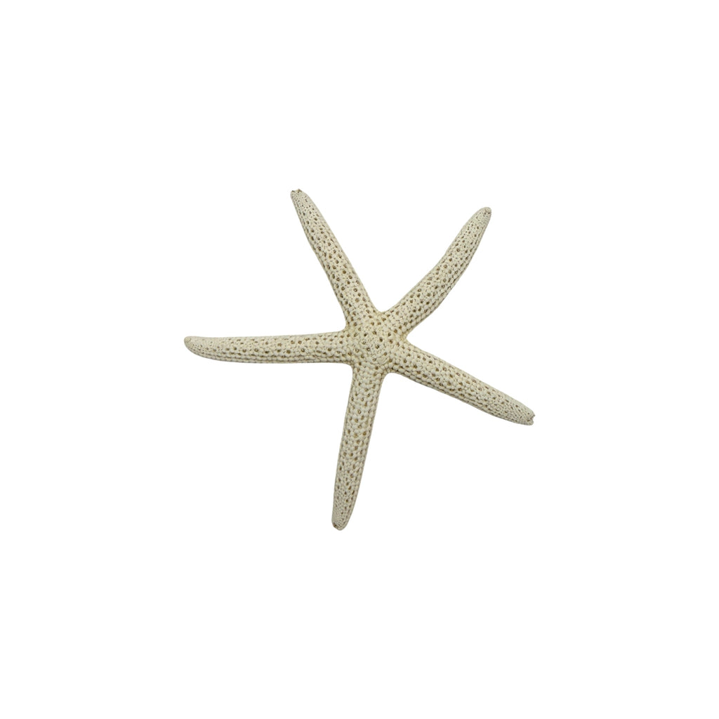 Finger Starfish