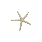 Finger Starfish