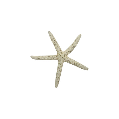 Finger Starfish
