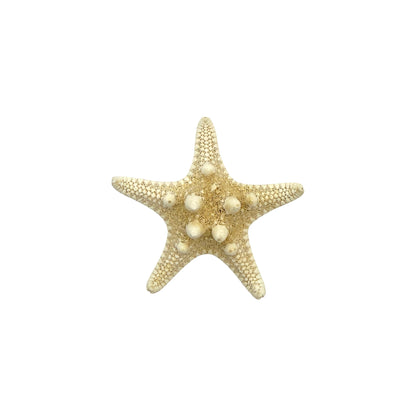 Knobby Starfish
