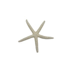 Finger Starfish