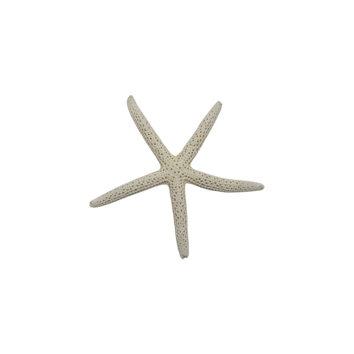 Finger Starfish