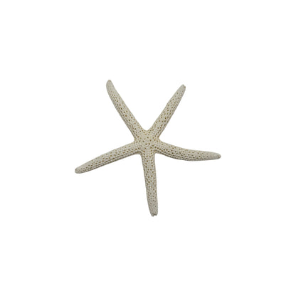Finger Starfish
