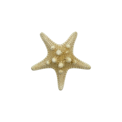 Knobby Starfish
