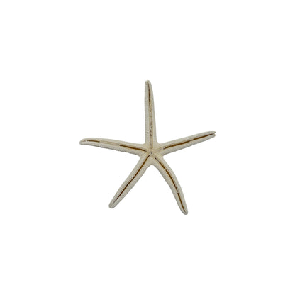 Finger Starfish