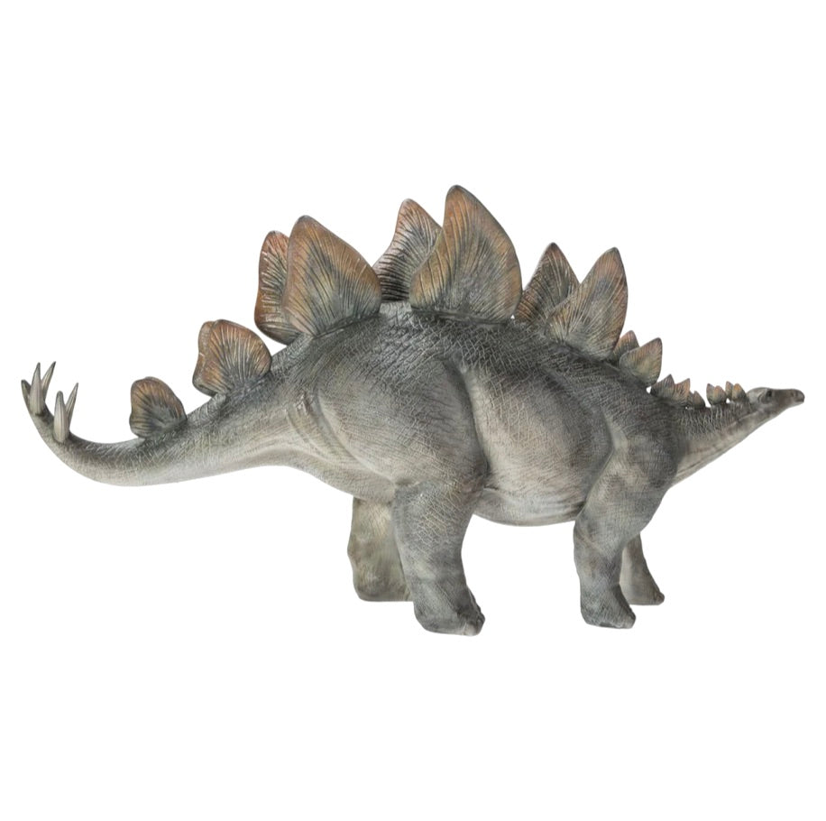 Stegosaurus Model