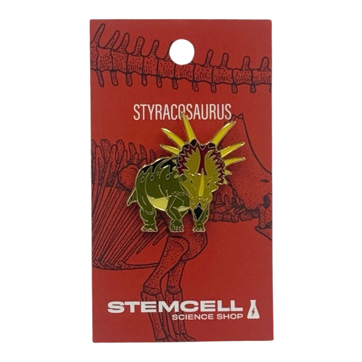 Prehistoric Pin