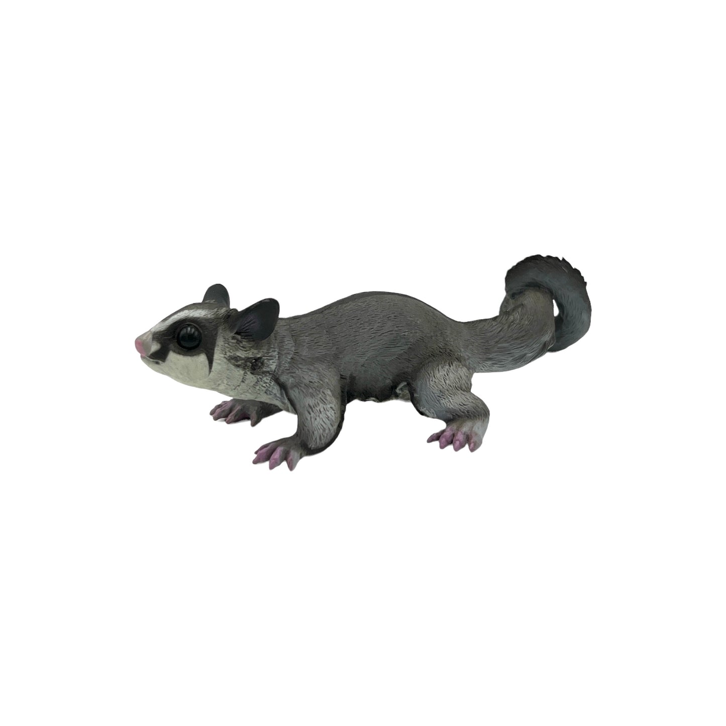 Sugar Glider (Safari)