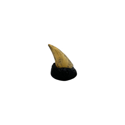 Tooth Replica (T.Rex Tooth + Base)