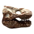 Skull (T-Rex)