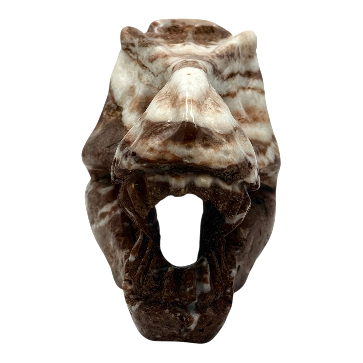 Skull (T-Rex)