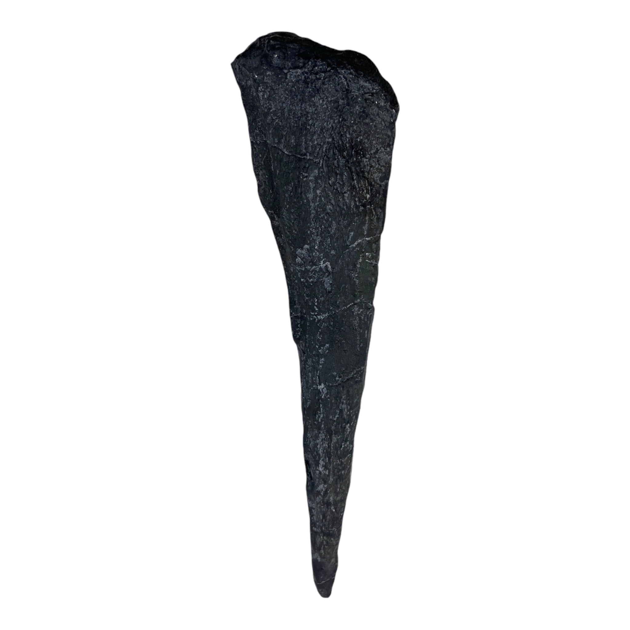 Tail Spike Replica Stegosaurus Tyrannostorus Tail Spike Replica Stegosaurus Tyrannostorus