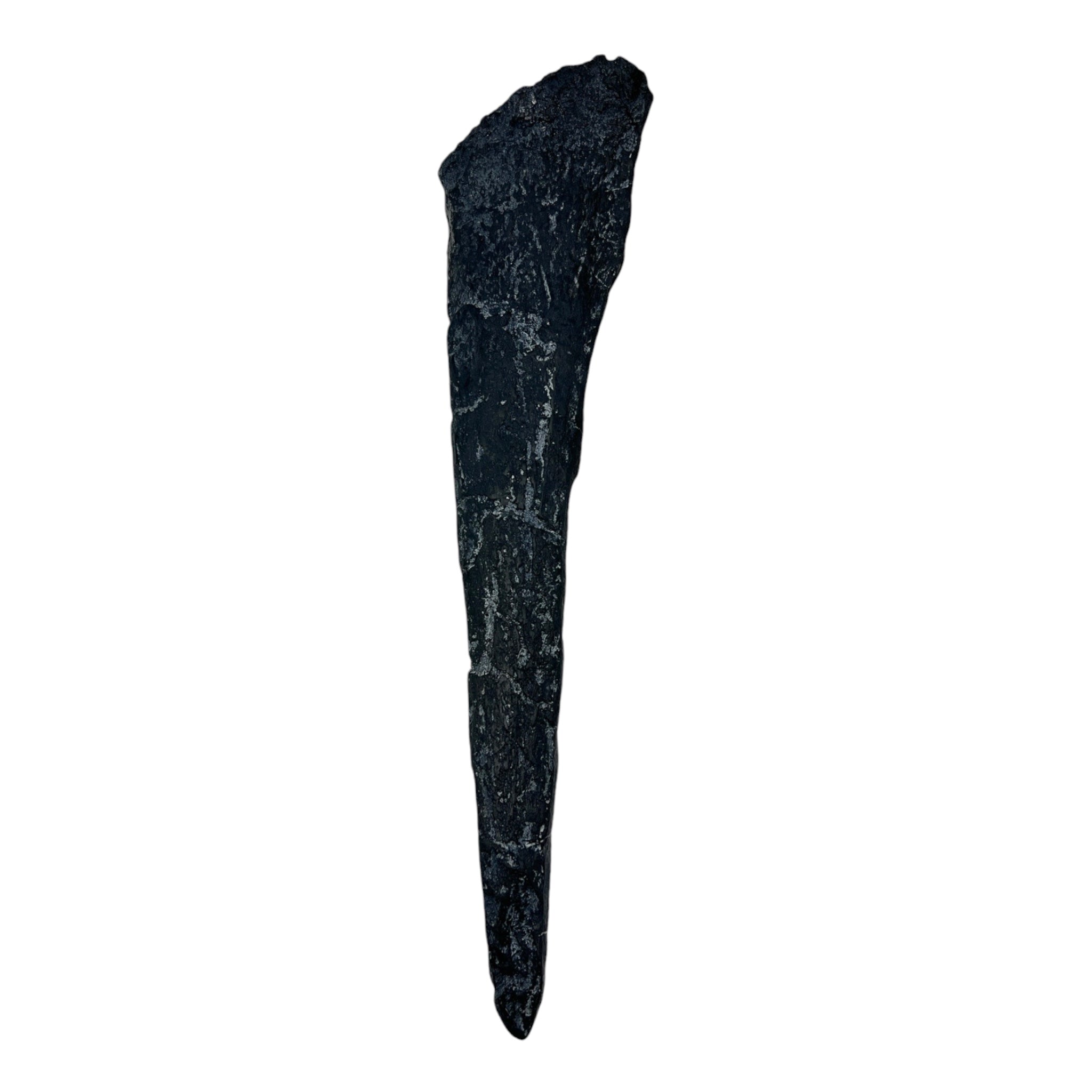 Tail Spike Replica Stegosaurus Tyrannostorus Tail Spike Replica Stegosaurus Tyrannostorus