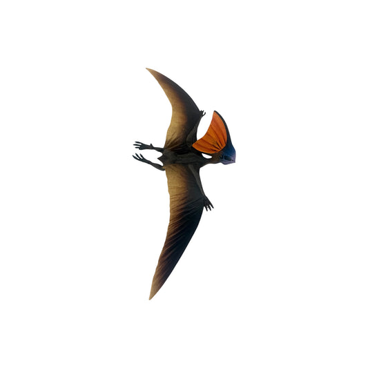 Tapejara (Safari)