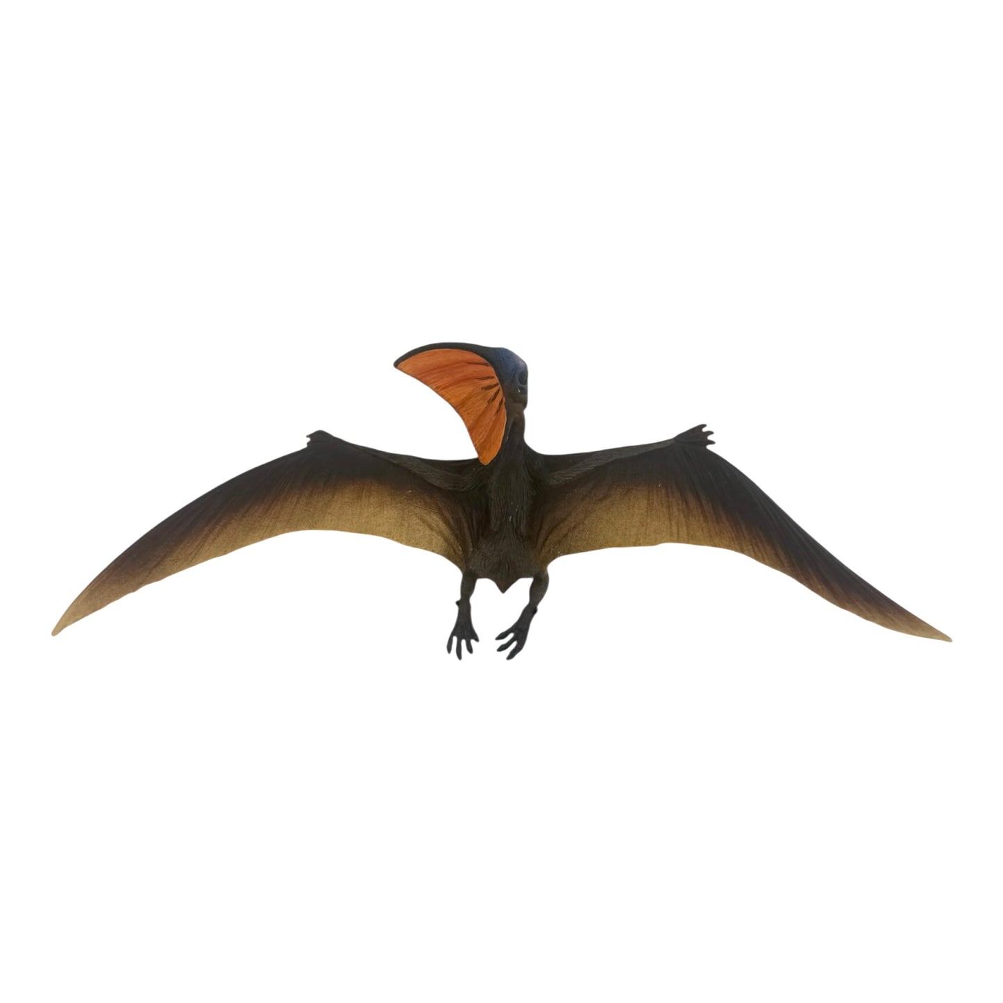Tapejara (Safari)