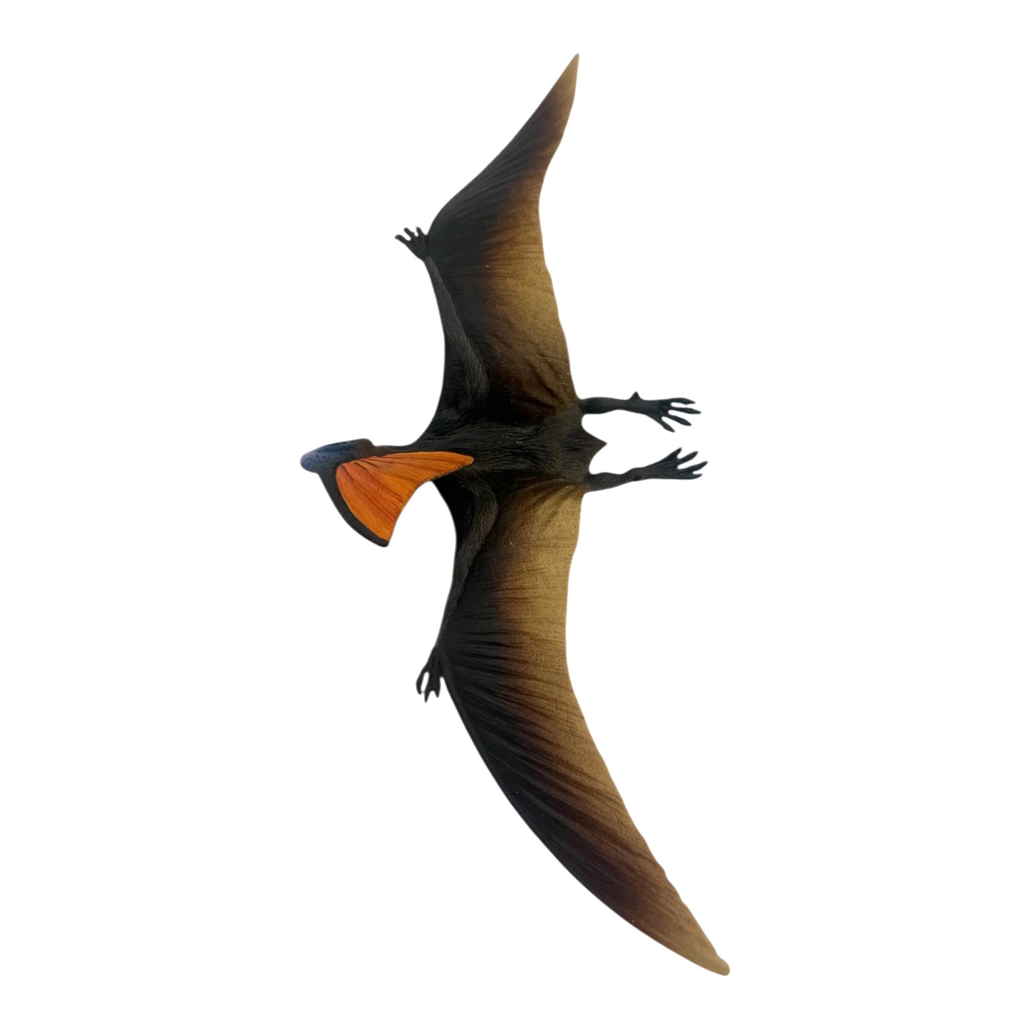 Tapejara (Safari)