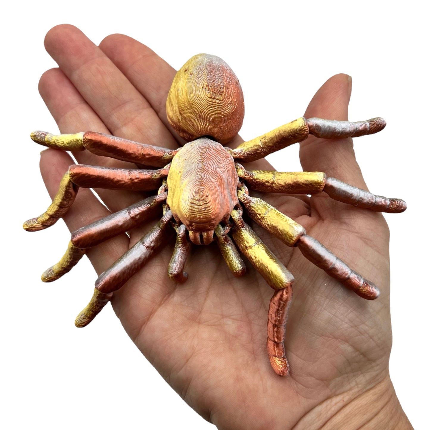 3D Printed Tarantula