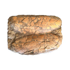 Egg Replica (Tarbosaurus Egg Pair Panel)
