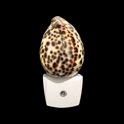 Tiger Cowrie Night Light