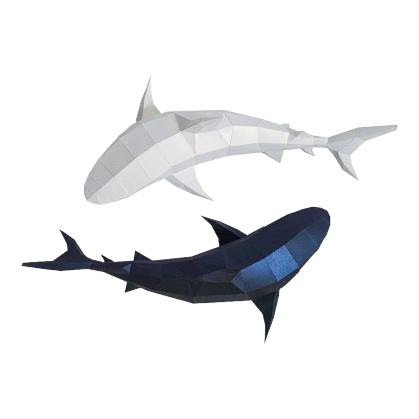 PaperCraft 3D Model (Tiger Sharks)