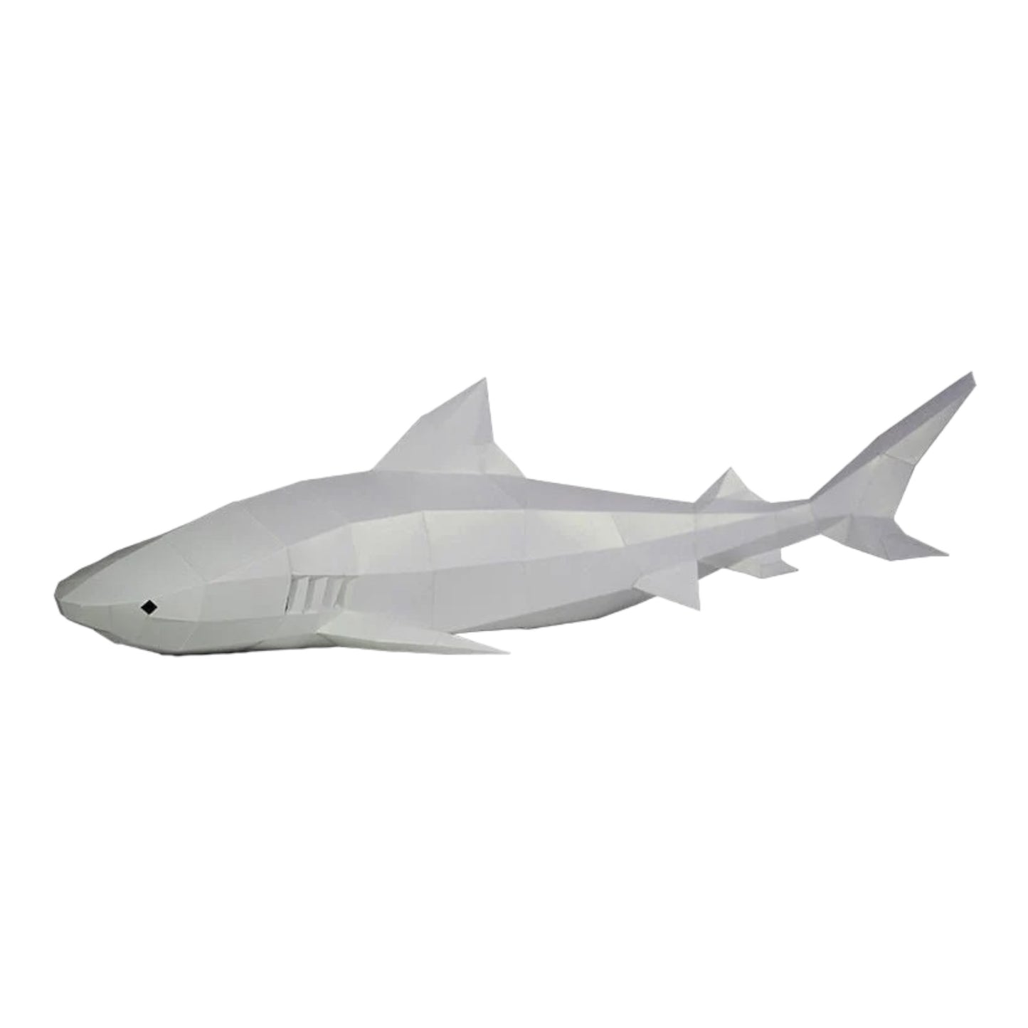 PaperCraft 3D Model (Tiger Sharks)