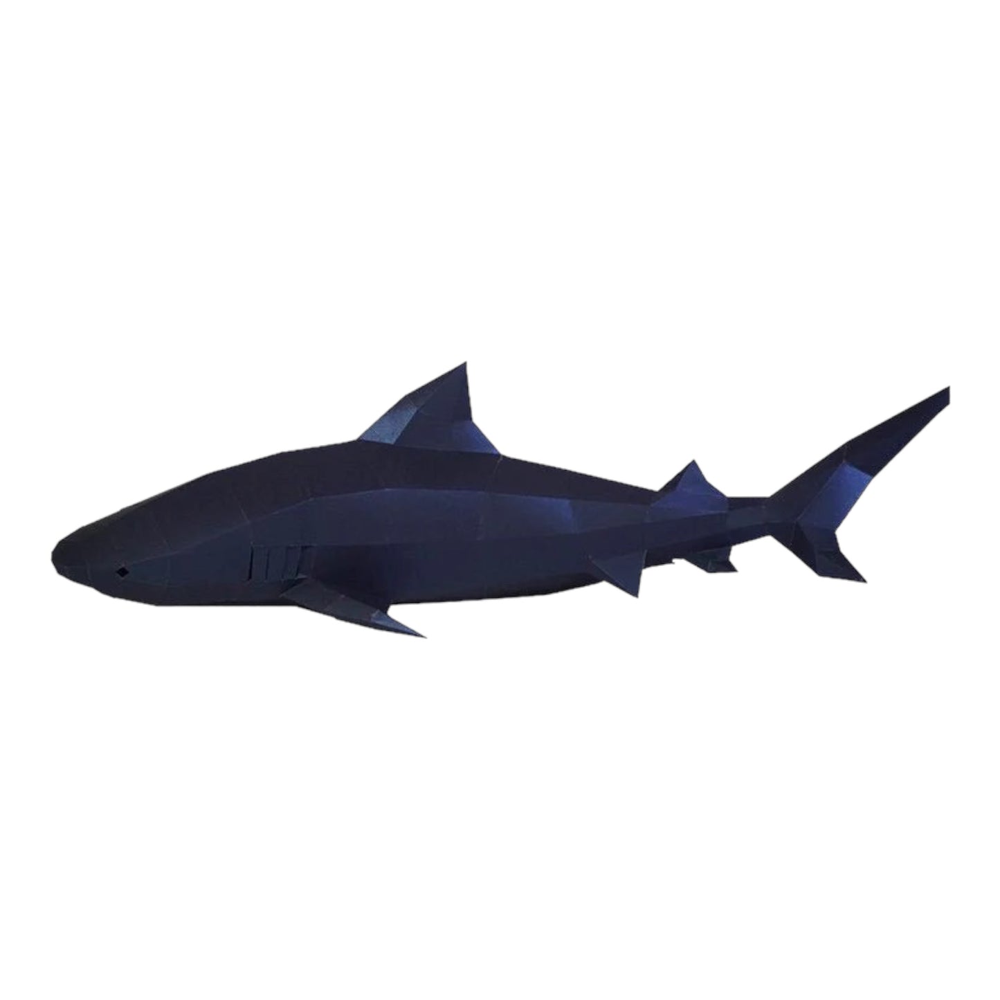 PaperCraft 3D Model (Tiger Sharks)