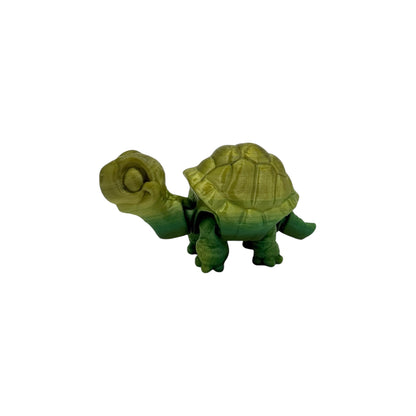 3D Printed Baby Tortoise