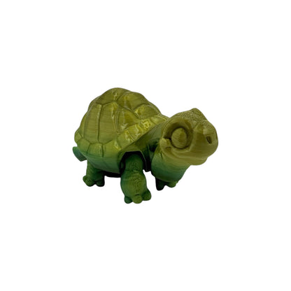 3D Printed Baby Tortoise