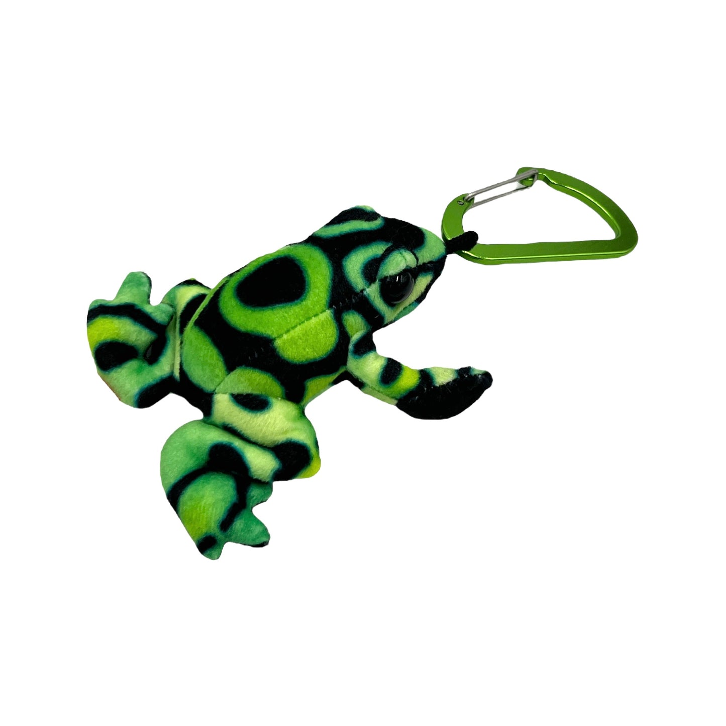 Green Tree Frog Clip