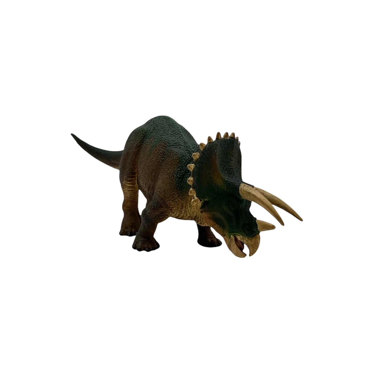 Triceratops (Safari)