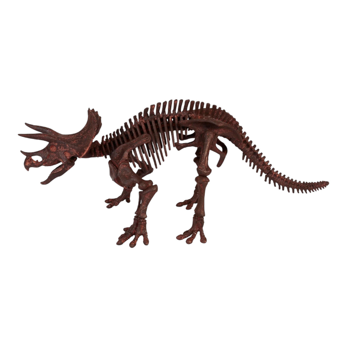 Dr. Steve Hunters Paleo Expedition (Triceratops)