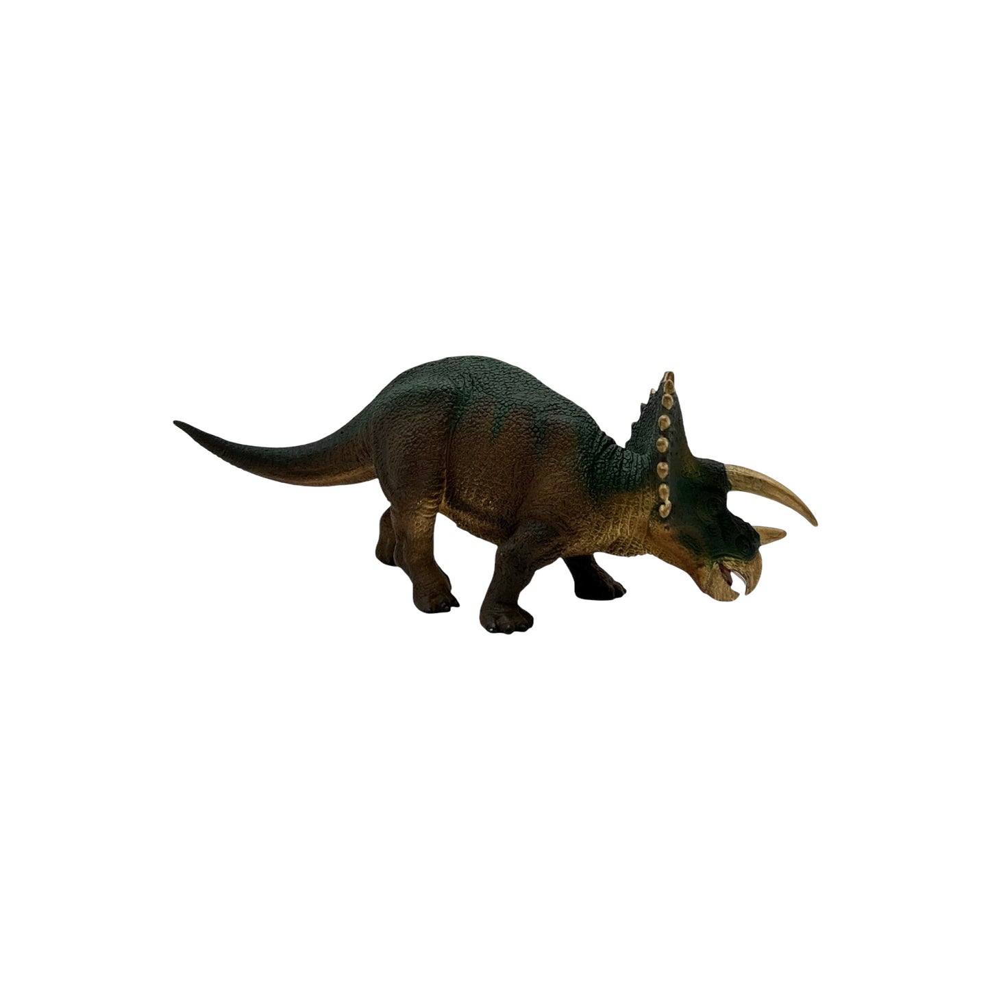 Triceratops (Safari)