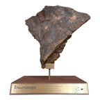 Triceratops Frill + Stand