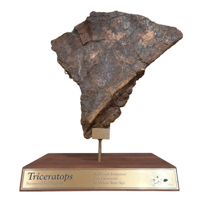Triceratops Frill + Stand